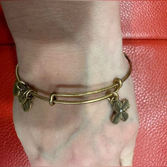 Alex and Ani four leaf clover bracelet in gold - Picture 3 of 3